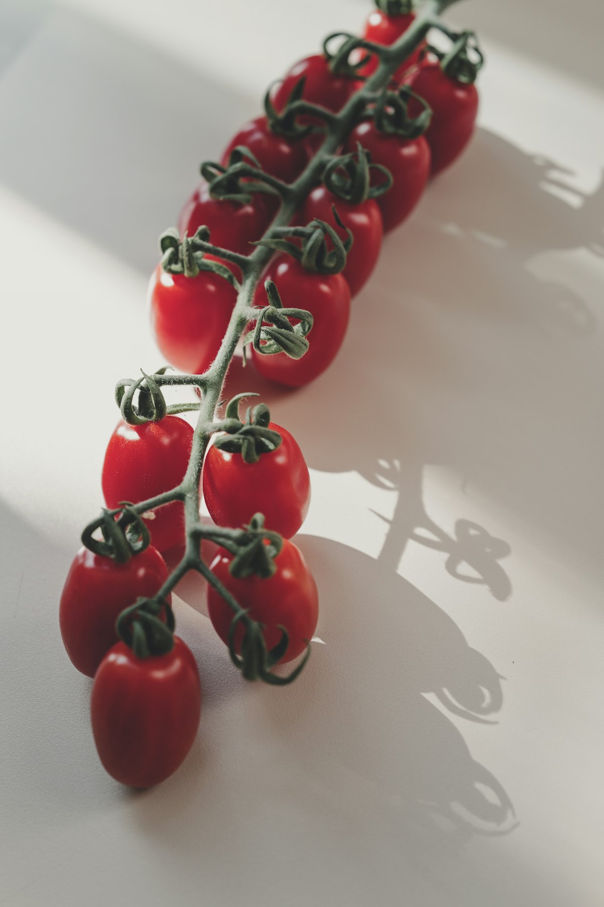 Vine Tomatoes · lb
